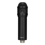 Micro thu âm Lauten Audio LS-208 - Ảnh 2