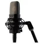 Micro thu âm Warm Audio WA-14 - Ảnh 3