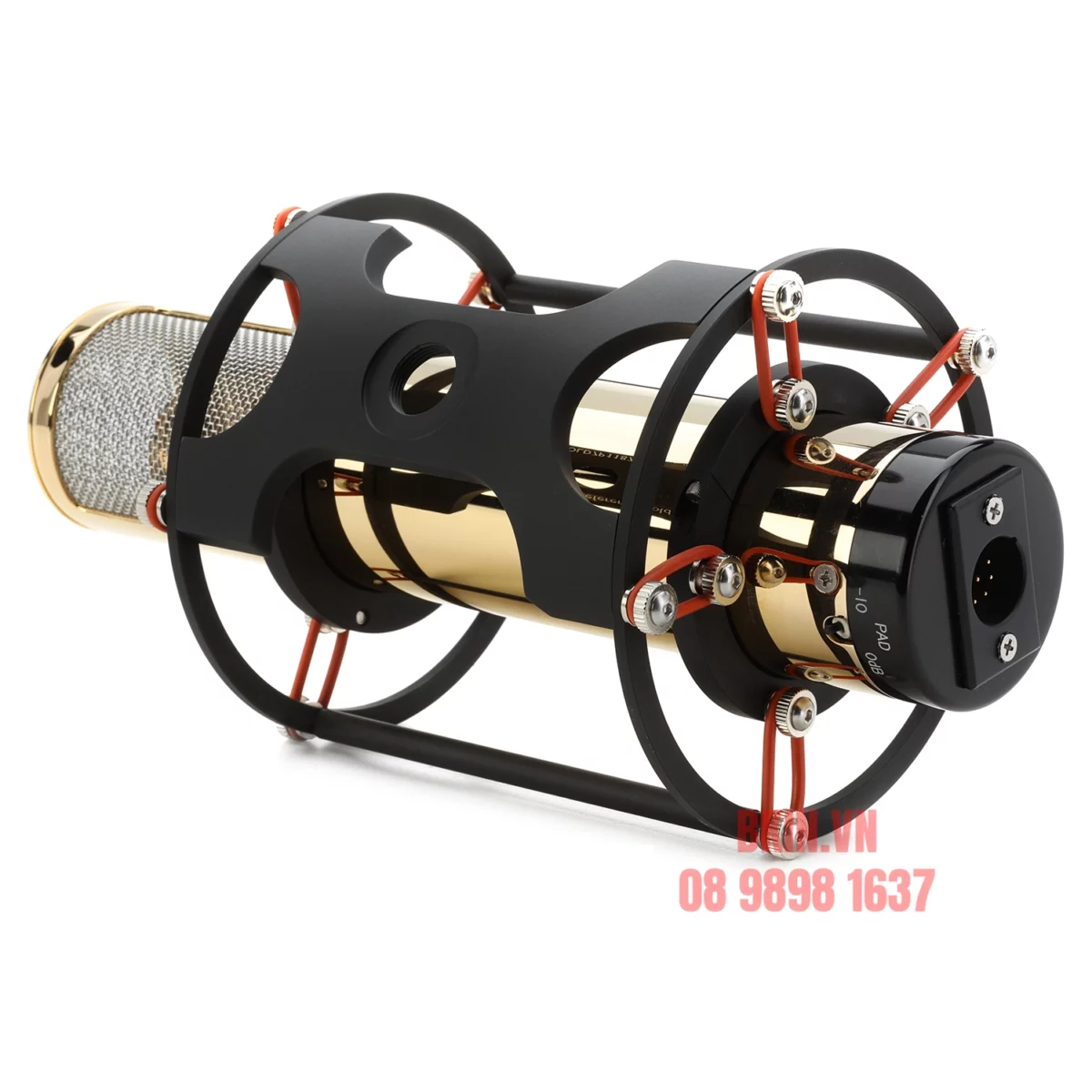 Manley Reference Mono Gold Microphone - Ảnh 2
