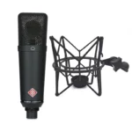 Micro Neumann TLM 193 Studio - Ảnh 2