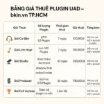 Dịch Vụ Cho Thuê Plugin UAD Bản Quyền - Ảnh 2